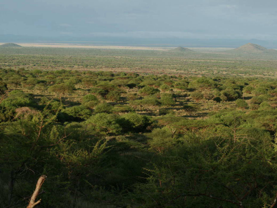 Kenya safaris | Dees Camping Safaris
